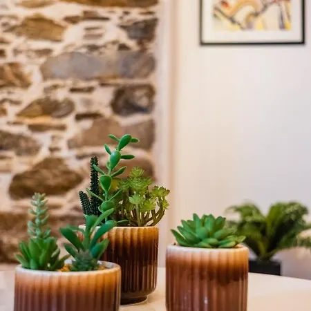 Syraki Apartment Ermoupoli